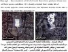 sb7aanallah.jpg