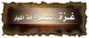 almohalhal-1201383677.jpg