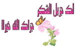 251255_dreambox-sat.com.gif