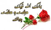 251275_dreambox-sat.com.jpg