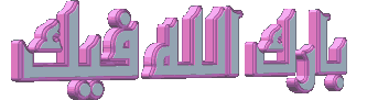 17.gif