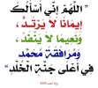 IMG_6505.jpeg