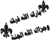 24878_1189177374.gif