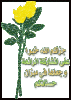 3b88bwntxurdl4.gif