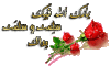 2794.gif
