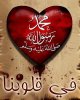 qAt86595.jpg