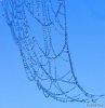 raindropz_spiderwebs_Funzug.org_02.jpg