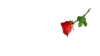 ذكر الله.gif