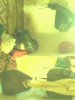 IMG0392A.jpg