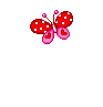 فراشة ترسم قلب.gif فراشة ترسم قلب.gif