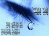 عععع.gif