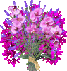 8.gif
