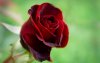 www_MyEgY_com_by_MeRNa_(40).jpg www_MyEgY_com_by_MeRNa_(40).jpg