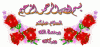 132660426861.gif