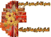 ywgc27bdv8.gif