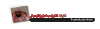 ?img=a56c1be5b20b6ab.gif