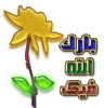13545529363.gif
