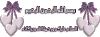 ndxtv.gif