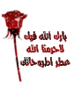 13253385119.gif