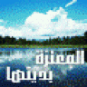 ام نسيبة