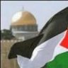 مشروع حكاية وطن