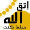 نبض العزه