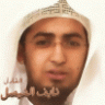 محب البيشي