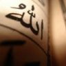 طيف عآبر