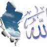 ابو عبد الملك 87