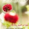 فبراير