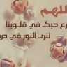 نـور الأمـل