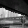 الفانية
