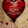 أبو ماهر 55