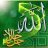 محمود_ندا