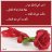 خديجة أمة الكريم