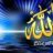 مهند الريامي