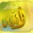 همي رضى والديني