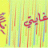 سلمان المطيري