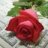 رِواءْ الروح