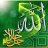 رنين الدعوة