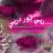 ربي نور دربي
