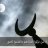 أسامة بن صالح