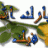 توفيق رفعت عجيز
