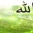 شاهر 1