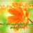 زينوب31