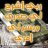 مها صبحى