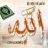 غرام عبد القادر