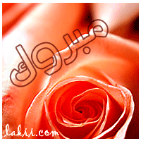 SIrBUc02020532.gif