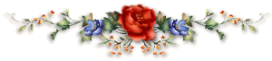 2iqjnl10.gif