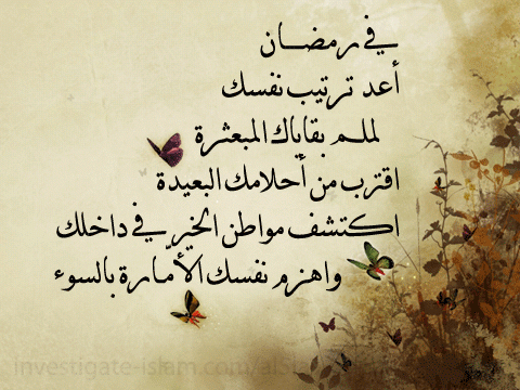 tumblr_mowg3yC8N71s82esco1_500.gif